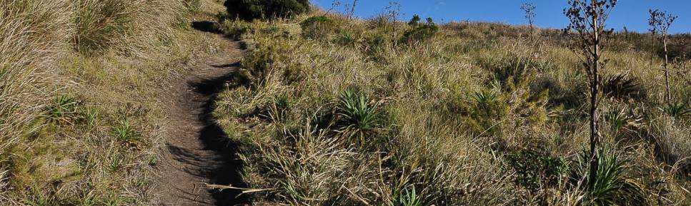 Trilha na parte alta do Parque Nacional da Serra dos Órgãos, no Rio de Janeiro, a caminho do Castelo do Açu